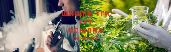 a pvp Ельня