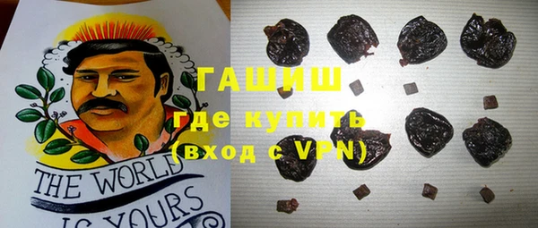 a pvp Ельня