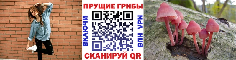 Галлюциногенные грибы ЛСД  Инза 